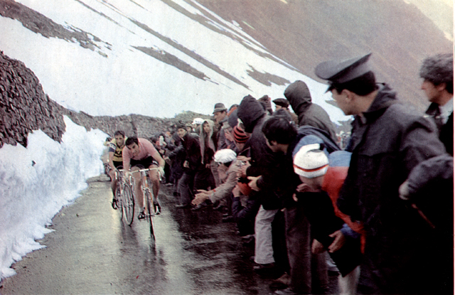 Eddy Merckx on the Stelvio