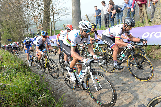 Peter Sagan and Alejandro Valverde