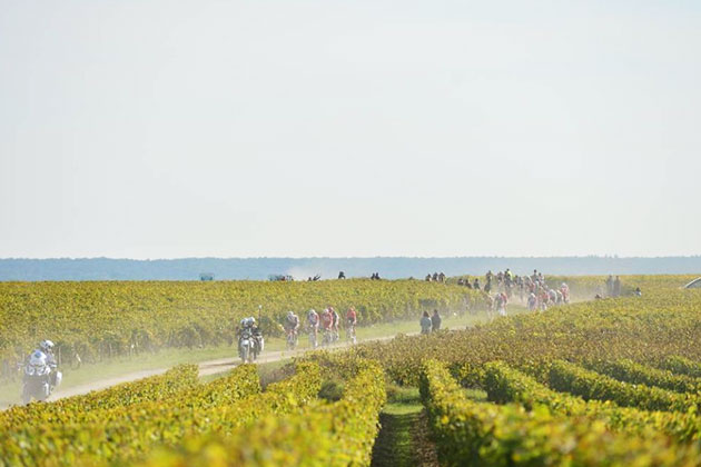 Vinyard tracks