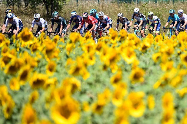 Peloton